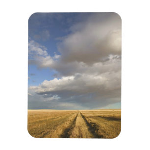 Canada, Alberta, Stand Off: Landschap met Magneet