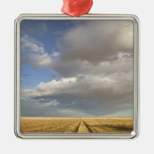 Canada, Alberta, Stand Off: Landschap met Metalen Ornament