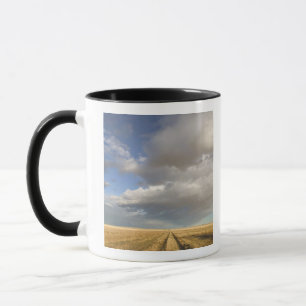 Canada, Alberta, Stand Off: Landschap met Mok