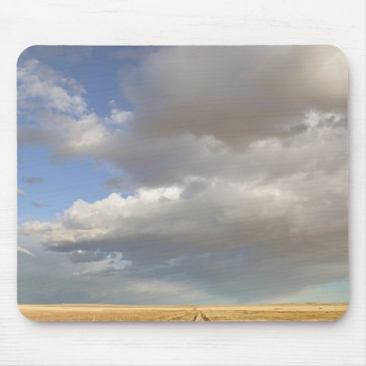 Canada, Alberta, Stand Off: Landschap met Muismat (Voorkant)