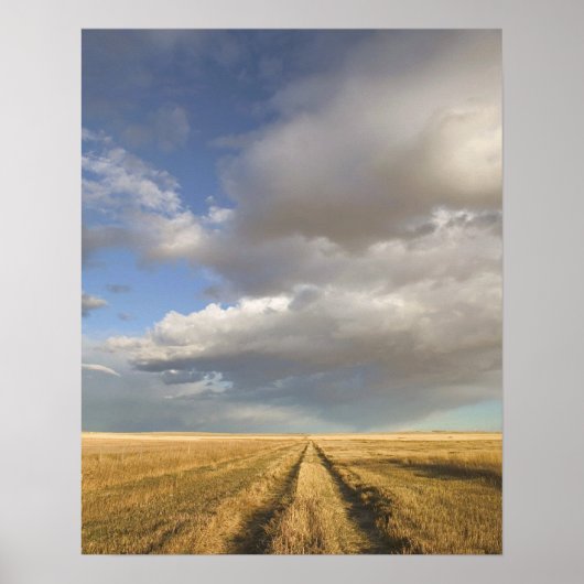 Canada, Alberta, stand-off: landschap met Poster (Voorkant)