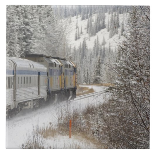 Canada, Alberta. VIA Rail Sneeuwtrein tussen Tegeltje (Voorkant)