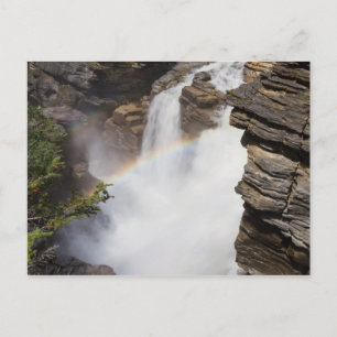 Canada - Athabasca Herfst briefkaart