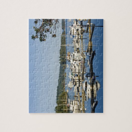 Canada, BC, Golfeilanden, Salt Spring Island Legpuzzel (Verticaal)