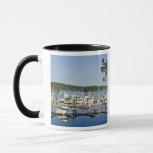 Canada, BC, Gulf Islands, Salt Spring Island, Mok