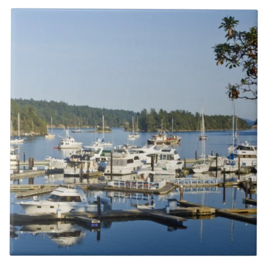 Canada, BC, Gulf Islands, Salt Spring Island, Tegeltje (Voorkant)