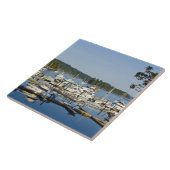Canada, BC, Gulf Islands, Salt Spring Island, Tegeltje (Zijkant)