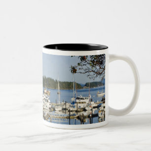 Canada, BC, Gulf Islands, Salt Spring Island, Tweekleurige Koffiemok