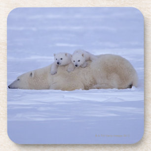 Canada Bier Onderzetter