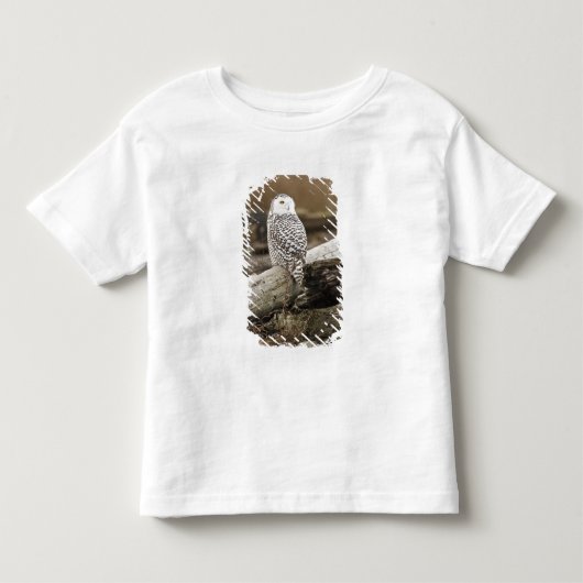 Canada, Boundary Bay, Sneeuwuil Kinder Shirts (Voorkant)