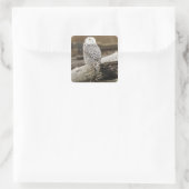 Canada, Boundary Bay, Sneeuwuil Vierkante Sticker (Tas)