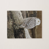 Canada, Boundary Bay, Snowy Owl Legpuzzel (Horizontaal)