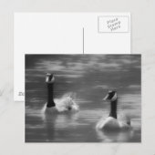 Canada Briefkaart (Voorkant / Achterkant)