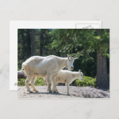 Canada - briefkaart van gebergte (Voorkant / Achterkant)