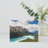 Canada - briefkaart van het meer van Peyto (Staand voorkant)