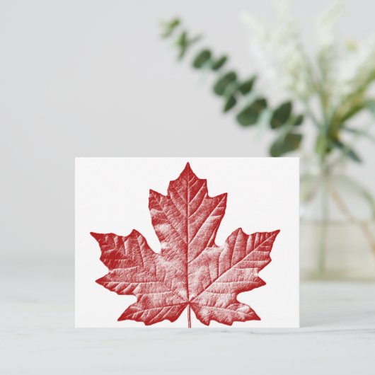 Canada Briefkaarten Cool Canadian Souvenir Briefka (Staand voorkant)