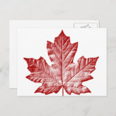 Canada Briefkaarten Cool Canadian Souvenir Briefka (Voorkant / Achterkant)