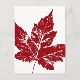 Canada Briefkaarten Cool Canadian Souvenir Briefka