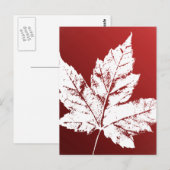 Canada Briefkaarten Cool Canadian Souvenir Briefka (Voorkant / Achterkant)