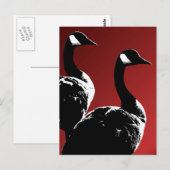 Canada Briefkaarten Custom Canada Goose Briefkaart (Voorkant / Achterkant)