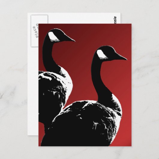 Canada Briefkaarten Custom Canada Goose Briefkaart (Voorkant / Achterkant)