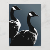 Canada Briefkaarten Custom Canada Goose Briefkaart (Voorkant)