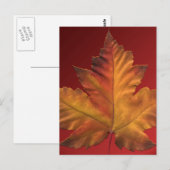 Canada Briefkaarten Custom Canada Souvenir Briefka (Voorkant / Achterkant)