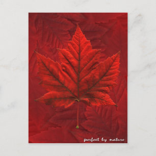 Canada Briefkaarten Custom Canada Souvenir Briefka