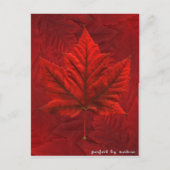 Canada Briefkaarten Custom Canada Souvenir Briefka (Voorkant)