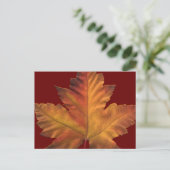 Canada Briefkaarten Custom Canada Souvenir Briefka (Staand voorkant)