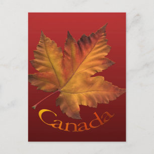 Canada Briefkaarten Custom Canada Souvenir Briefka