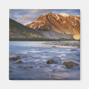 Canada, British Columbia, Alsek riviervallei. 2 Magneet