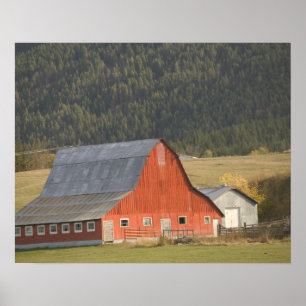 CANADA, British Columbia, Enderby. Rode Barn / Poster