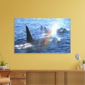 Canada, British Columbia, Johnstone Straight, Canvas Afdruk (Insitu (Woonkamer))