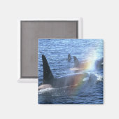 Canada, British Columbia, Johnstone Straight, Magneet (Voorkant / Achterkant)