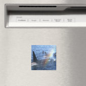 Canada, British Columbia, Johnstone Straight, Magneet (Insitu (Vaatwasser))