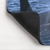 Canada, British Columbia, Johnstone Straight, Muismat (Hoek)