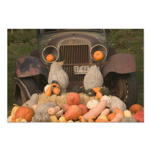 CANADA, British Columbia, Keremeos. Najaar / Foto Afdruk (Voorkant)