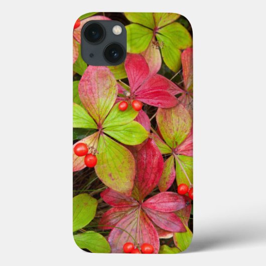 Canada, British Columbia, Mount Robson Case-Mate iPhone Case (Achterkant)