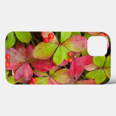 Canada, British Columbia, Mount Robson Case-Mate iPhone Case (Achterkant (horizontaal))