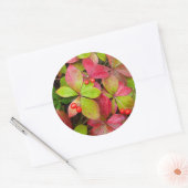 Canada, British Columbia, Mount Robson Ronde Sticker (Envelop)