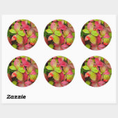 Canada, British Columbia, Mount Robson Ronde Sticker (Vel)