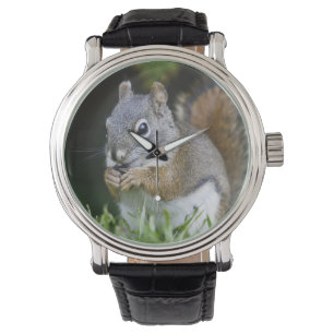 Canada, British Columbia, Red Squirrel Pine Horloge