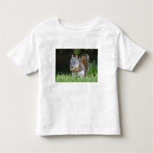 Canada, British Columbia, Red Squirrel Pine Kinder Shirts