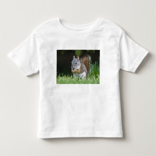 Canada, British Columbia, Red Squirrel Pine Kinder Shirts (Voorkant)