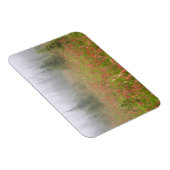 Canada, British Columbia, Revelstoke National Magneet (Rechterzijde)