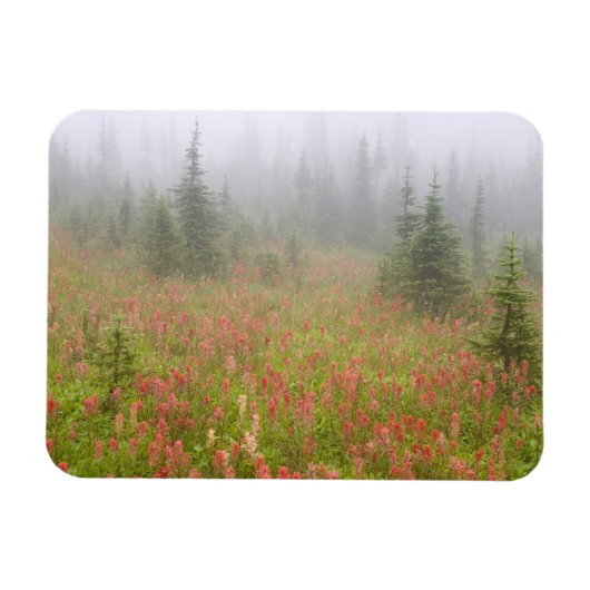 Canada, British Columbia, Revelstoke National Magneet (Horizontaal)