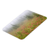 Canada, British Columbia, Revelstoke National Magneet (Linkerzijde)