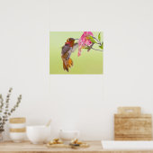 Canada, British Columbia, Rosse Kolibrie Poster (Keuken)