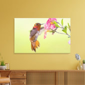Canada, British Columbia, Rufous Hummingbird Canvas Afdruk (Insitu (Woonkamer))